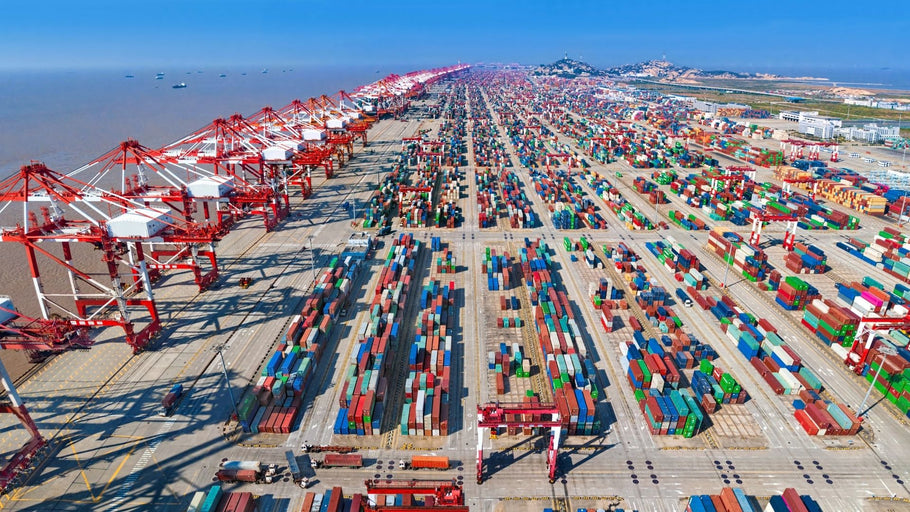 Port Congestion: Looking for Solutions